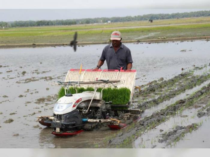 Rice Transplanter Yang Memudahkan Pekerjaan Petani Padi