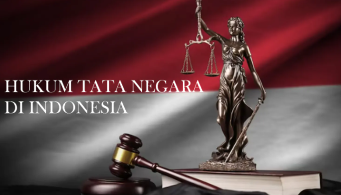 Bidang Hukum Tata Negara Punya Penggolongan Hukum Khusus