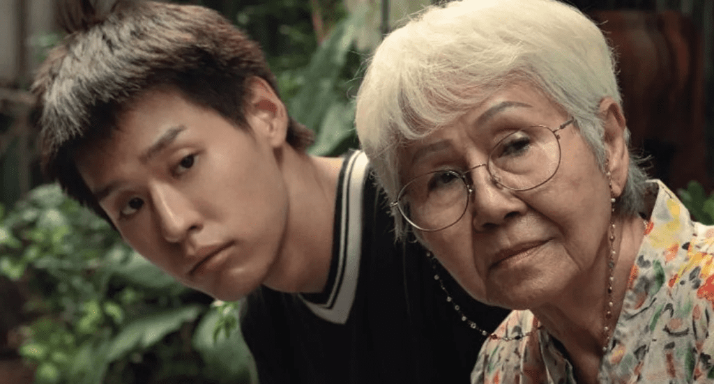 Sinopsis Film How To Make Millions Before Grandmother Dies