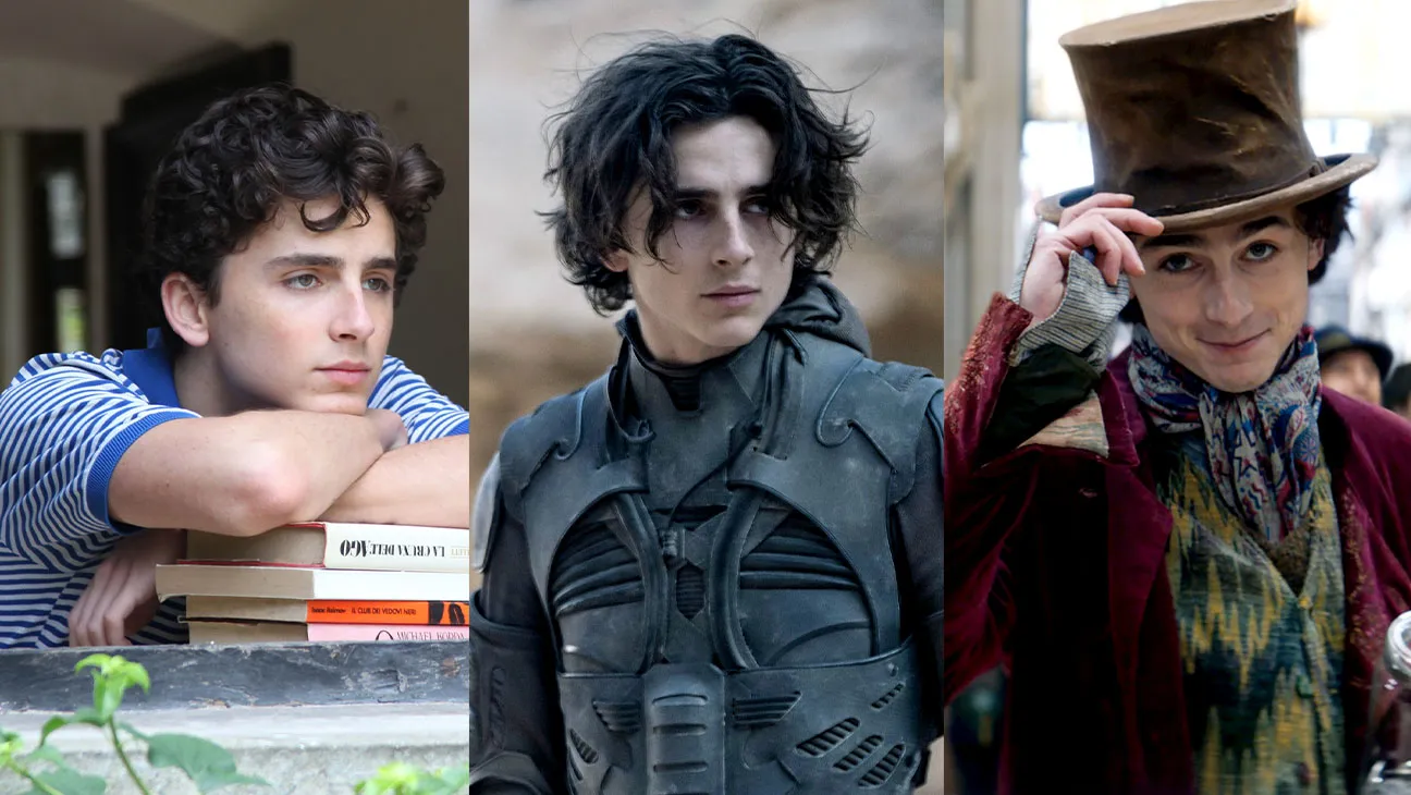 Awal Karir Dan Pencapain Aktor Timothee Chalamet