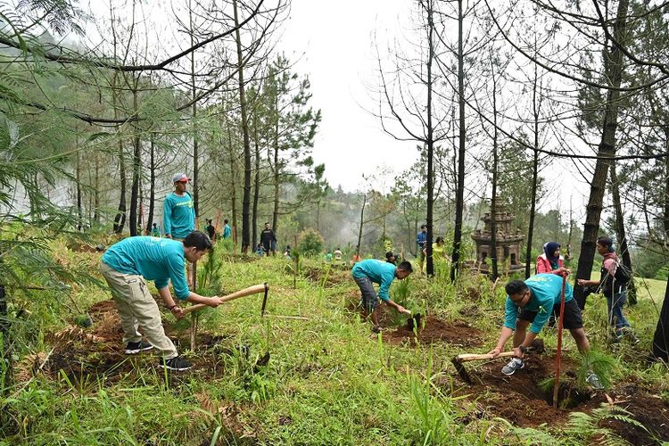 Upaya Konservasi Hutan