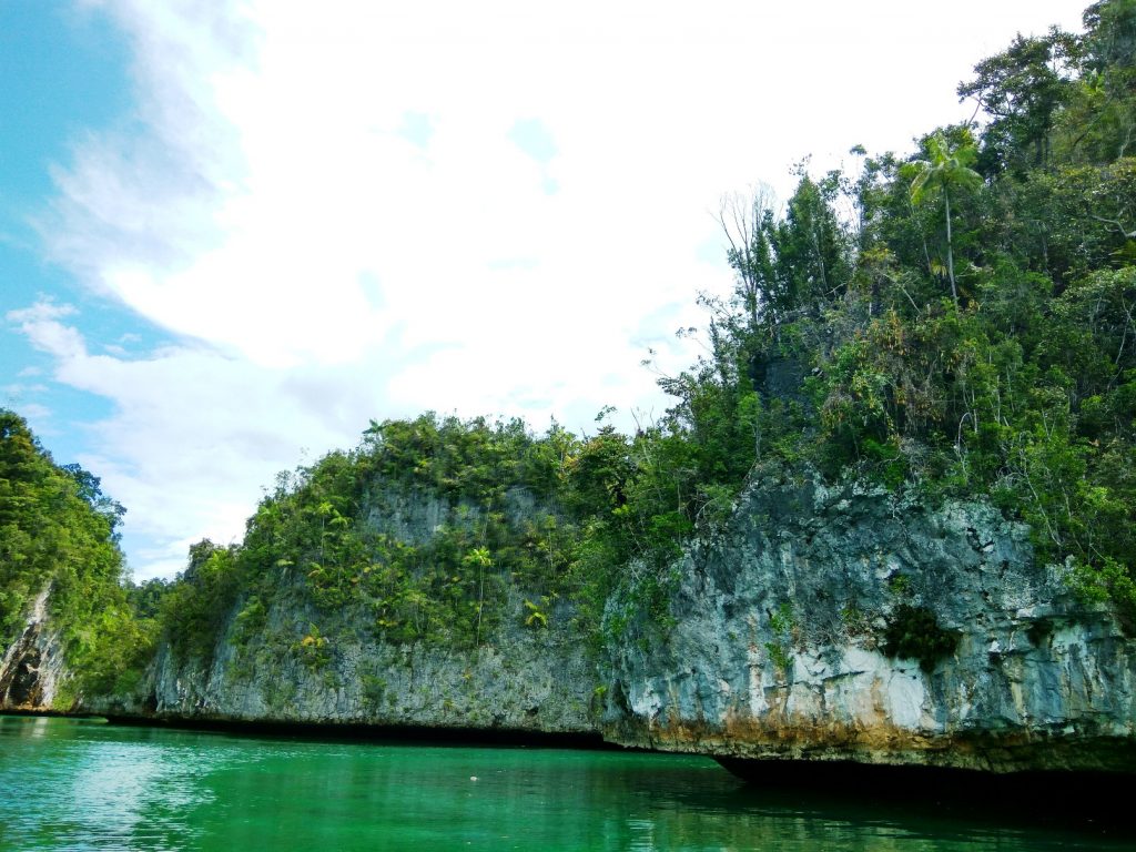 Upaya Pelestarian Hutan Dan Lautan