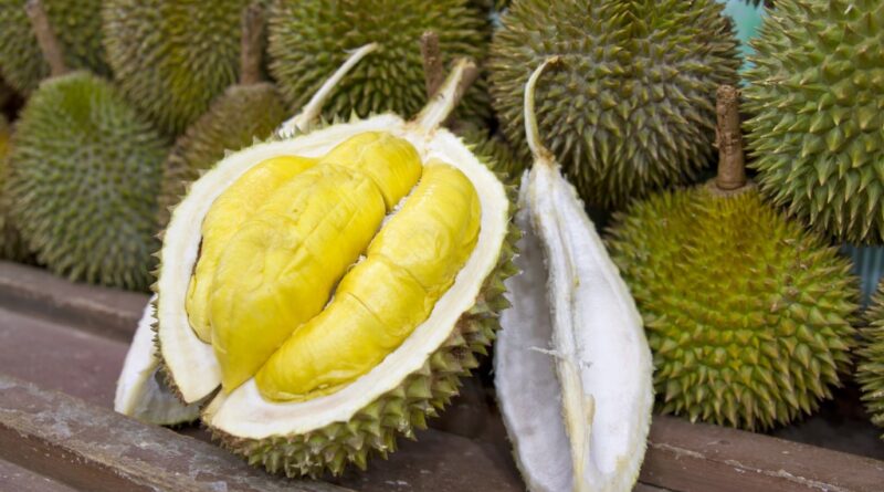 Durian Montong