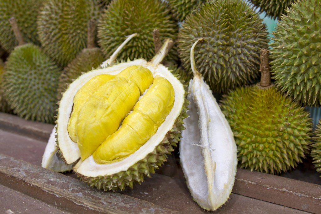 Durian Montong