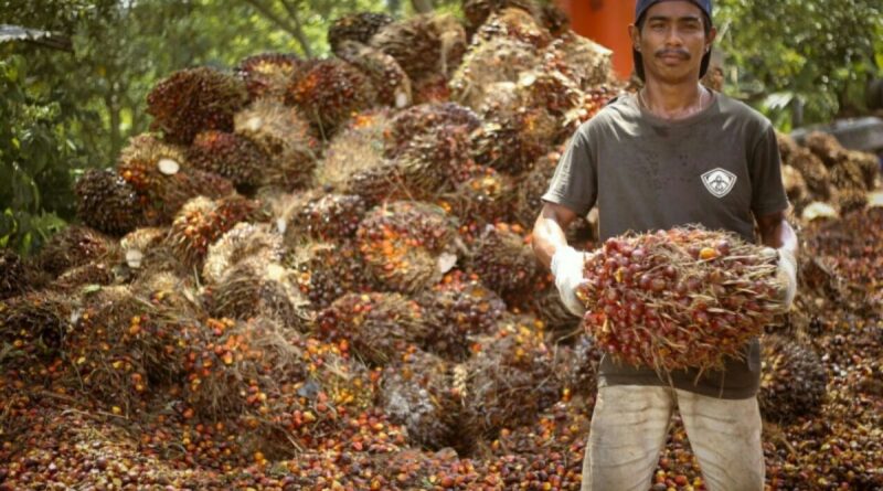 Pabrik Kelapa Sawit