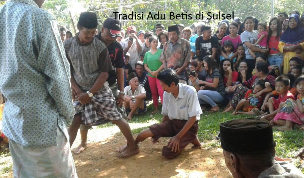 Tradisi Adu Betis