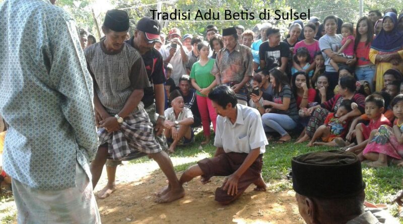 Tradisi Adu Betis