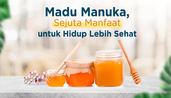 Madu Manuka Madu Termahal Di Dunia