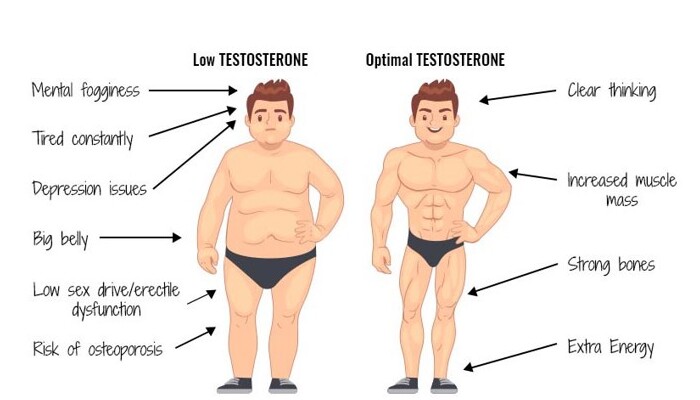 Hormon Testosteron, Itu Apa Dan Bagaimana Fungsinya Dalam Tubuh?