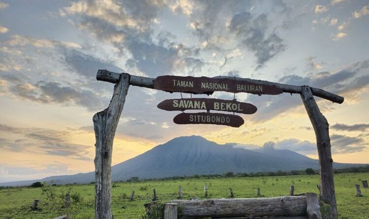 Taman Nasional Baluran