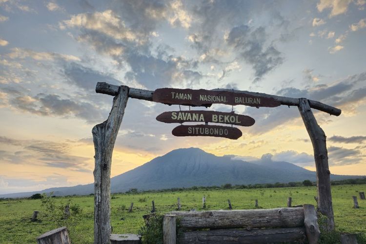 Taman Nasional Baluran