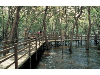 Pemandangan Alam Singapura Yang Wajib Di Kunjungi Penjelajah