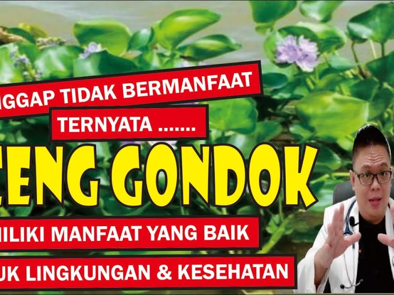 Manfaat Eceng Gondok