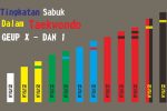 Mengenal Tingkatan Sabuk Taekwondo