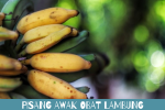 Khasiat Pisang Awak
