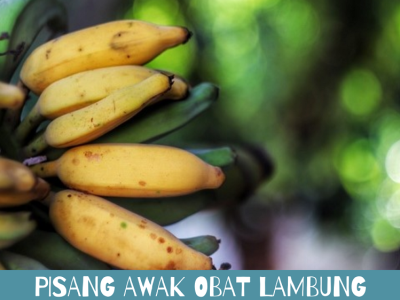 Khasiat Pisang Awak
