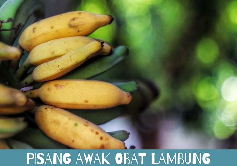 Khasiat Pisang Awak