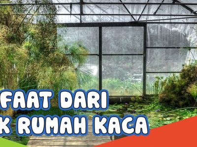 Manfaat Rumah Kaca: Inovasi Untuk Menghadapi Perubahan Iklim
