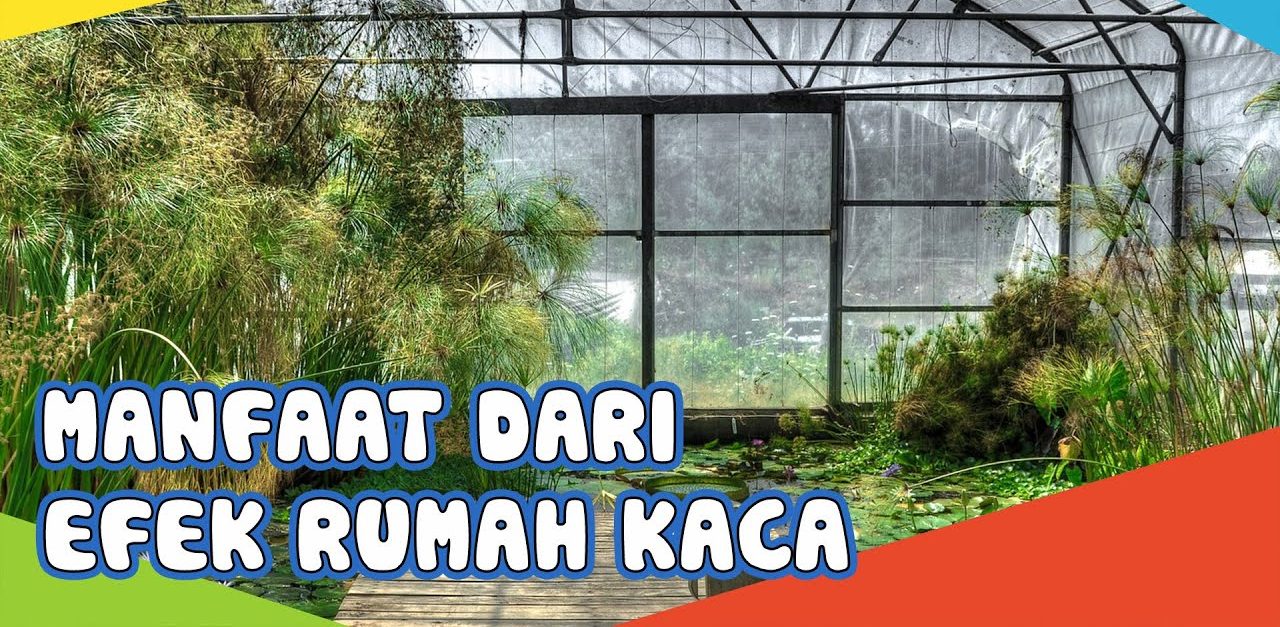 Manfaat Rumah Kaca