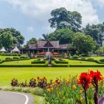 Kebun Raya Bogor, Taman Botani Yang Ikonik Di Indonesia