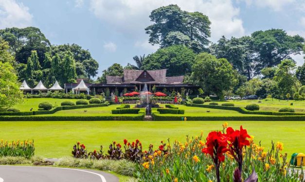 Kebun Raya Bogor, Taman Botani Yang Ikonik Di Indonesia