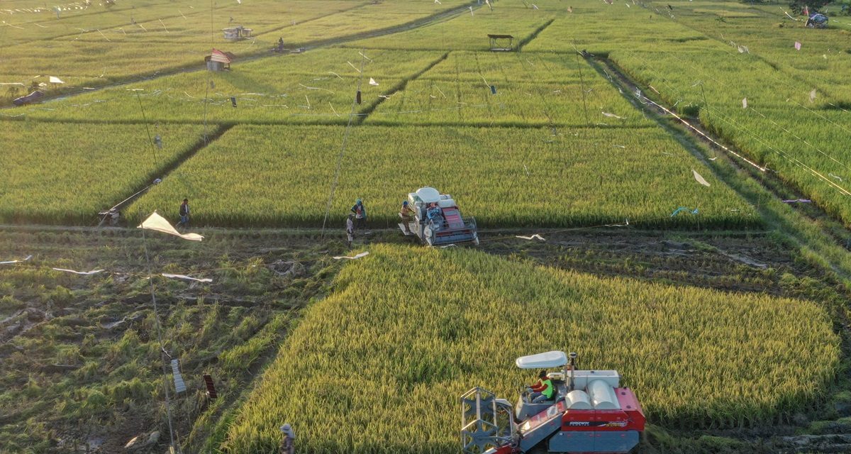 Inovasi Teknologi Pertanian Meningkatkan Hasil Panen Petani di Indonesia