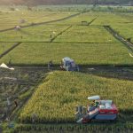 Inovasi Teknologi Pertanian Meningkatkan Hasil Panen Petani di Indonesia