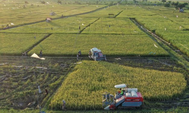 Inovasi Teknologi Pertanian Meningkatkan Hasil Panen Petani di Indonesia