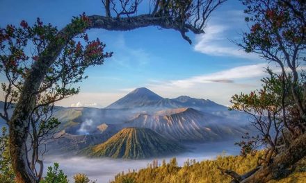 Gunung Bromo Memberikan Perspektif Tentang Keindahan Alam