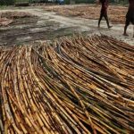 Batang Kayu Rotan Memainkan Peran Penting Industri Kerajinan