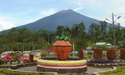 Destinasi Terbaik Purbalingga Yang Dapat Menjadi Tempat Liburan