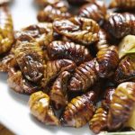 Kuliner Unik Beondegi Berasal Dari Korea Selatan