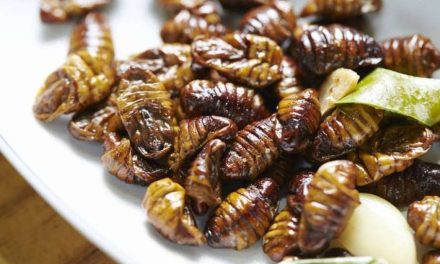 Kuliner Unik Beondegi Berasal Dari Korea Selatan
