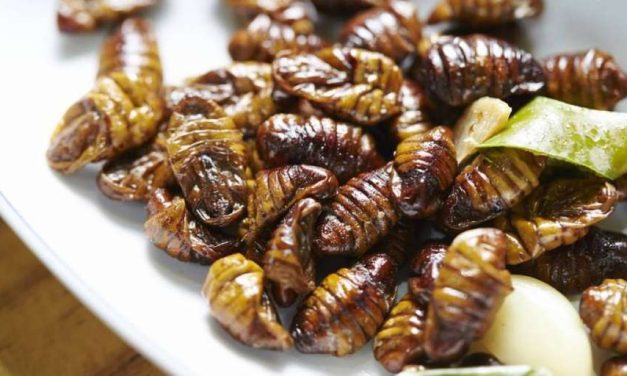 Kuliner Unik Beondegi Berasal Dari Korea Selatan