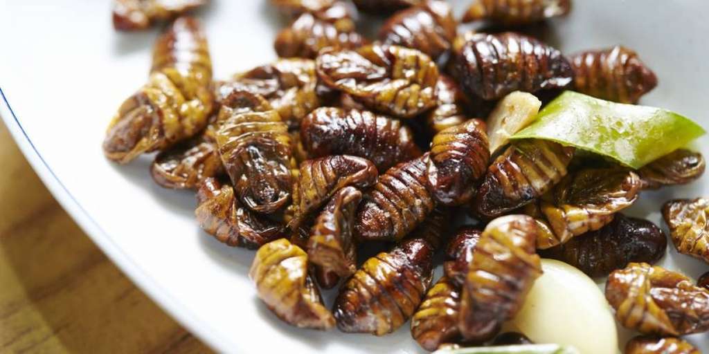 Kuliner Unik Beondegi Berasal Dari Korea Selatan