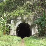Terowongan Wilhelmina, Terowongan Mistis Di Kalipucang