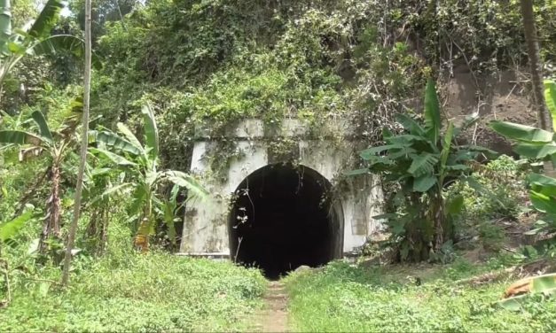 Terowongan Wilhelmina, Terowongan Mistis Di Kalipucang