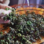 Bumbu Khas Batak Toba Yang Mengketirkan Lidah