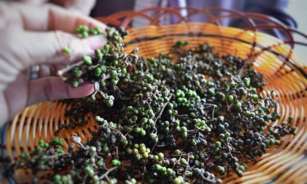 Bumbu Khas Batak Toba Yang Mengketirkan Lidah