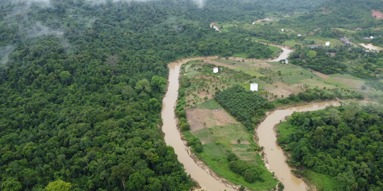 Taman Nasional Kutai Tawarkan Banyak Keanekaragaman Hayati