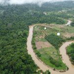 Taman Nasional Kutai Tawarkan Banyak Keanekaragaman Hayati