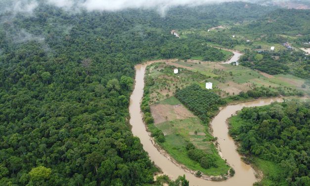 Taman Nasional Kutai Tawarkan Banyak Keanekaragaman Hayati