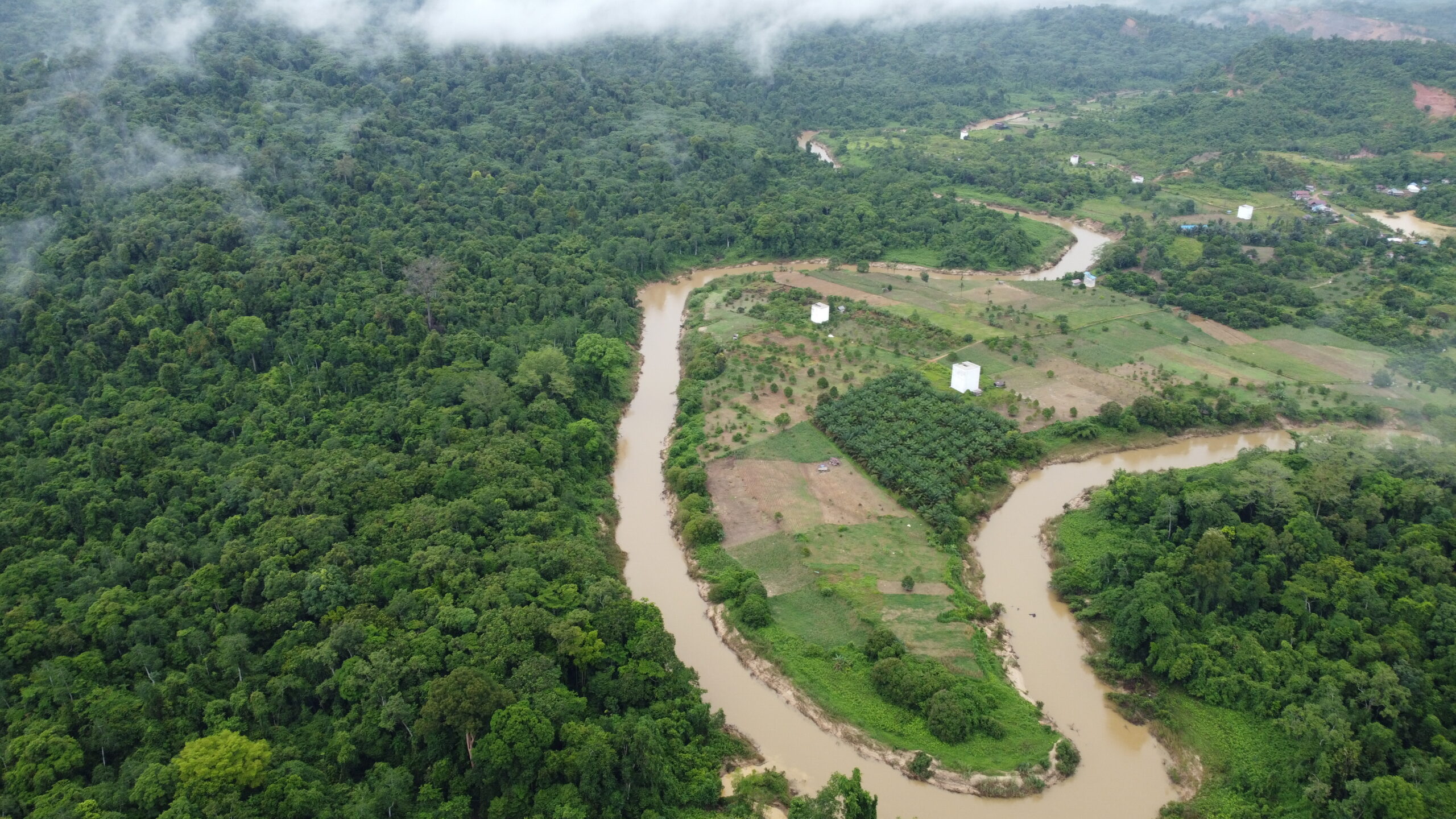 Taman Nasional Kutai